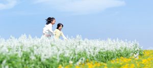 お知らせヘッダー